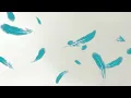 Other Birds by Sarah Addison Allen: Book Trailer