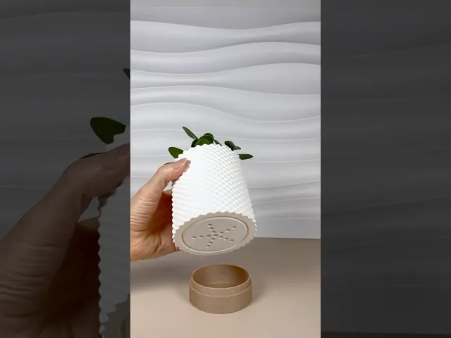 SUCULIA planter with a drip tray video thumbnail