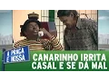 Download Lagu Canarinho irrita casal e se dá mal | Praça Retrô (12/01/17)