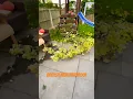 Download Lagu https://vm.tiktok.com/ZNHWWrDkDWcvH-k1nFD/