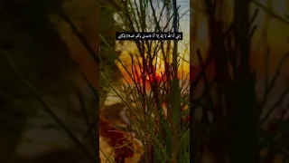 إنني أنا الله لا إله إلا أنا فاعبدني وأق 