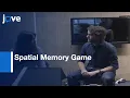 Testing Relationship Between Spatial Language Object Knowledge Cognition l Protocol