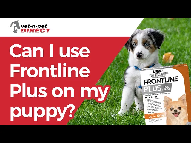 Frontline Plus for Large Dogs 20 to 40kg (44-88lb)