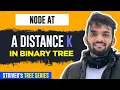 L30 Print all the Nodes at a distance of K in Binary Tree C Java