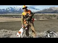 Royal Creek Ranches A Pheasant Hunter s Paradise