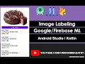 Image Labeling Google ML Android Studio Kotlin