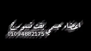 حالت واتس هاتوا اخركو انا قاعد اتفرج مهرجان لسه منزلش احمد موزه  حالت واتس هاتوا اخركو انا قاعد اتفرج مهرجان لسه منزلش احمد موزه