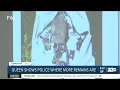 Matthew Queen Trial Queen leads police to more remains
