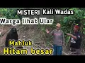 WARGA MELIHAT MAHLUK HITAM ||ULAR PANJANG PASCA NORMALISASI KALI WADAS #dedimulyadi 