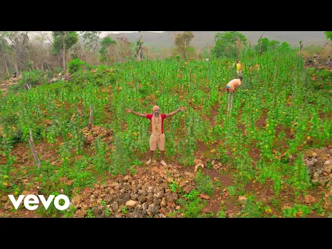 Download MP3 Lutan Fyah - Weed Oooooh (Official Music Video)