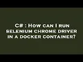 C How can I run selenium chrome driver in a docker container