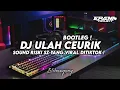 DJ ULAH CEURIK TONG DICEUNGCEURIKAN BOOTLEG | SOUND TIKTOK RISKI SZ !