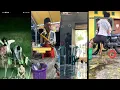 Download Lagu hiduplah engkau dengan ku drrrr | kumpulan video lucu | video tiktok