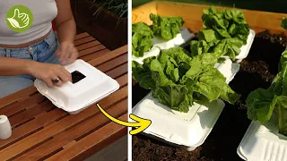 Genius Garden Hack: Clever hacks for thriving garden 🌷