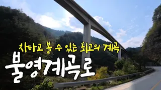 불영계곡로 | 차타고 볼 수 있는 최고의 계곡 #드라이브 코스 #운전 썸네일