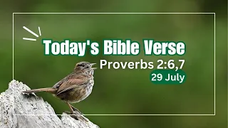 Today s Bible Verse with explanation Proverbs 2 6 7 Wisdom for righteous