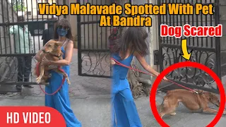 omg vidya malavade dog scared vidya malavade spotted with pet at bandra