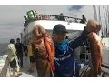 22nd Street Sportfishing aboard the Monte Carlo - Labor Day