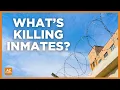 4 deaths confirmed at Maricopa County jail in 2 weeks