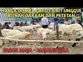 Download Lagu WAJIB NONTON ‼️HARGA DOMBA GARUT BIBIT UNGGUL PASAR MAJA - MAJALENGKA