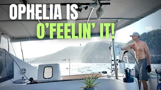 Exorcising DEMONS | SailAway 310