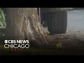 Man shot by police in East Chicago Indiana