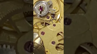                    دندنها