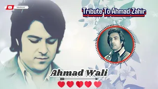 When Ahmad Wali Sings For Ahmad Zahir احمد ولی جان برای احمد ظاهر میخواند عاشق رویت من 