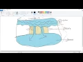 control statements in java
