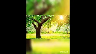 موسيقى لإراحة الأعصاب قبل الامتحانات 