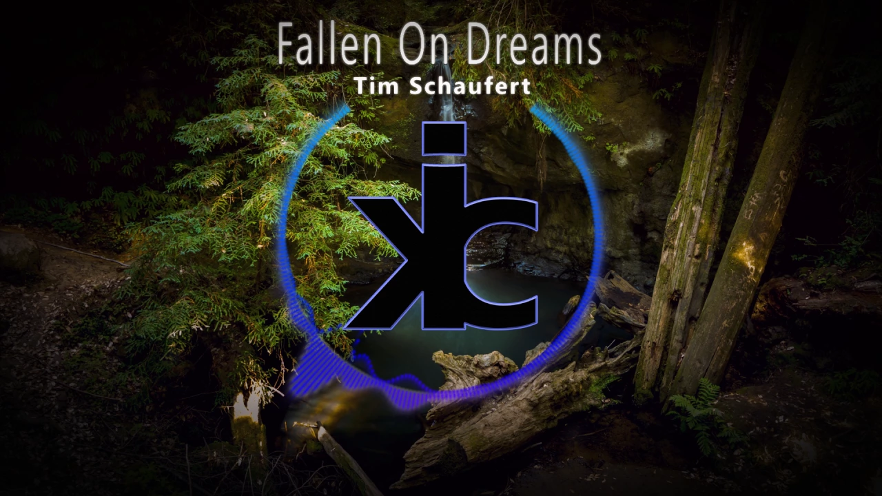 Tim Schaufert - Fallen On Dreams