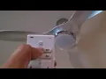 Reiga fan 1