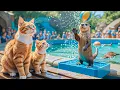 Download Lagu Mama Cat and Ginger Return a Lost Wallet and Get Rewarded Trip to the Aquarium \u0026 Water Park! 🐱💦🐟