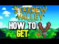 How to Get a Master Slingshot in Stardew Valley