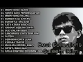 Download Lagu Best of Saleem iklim , lagu Malaysia