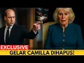 Download Lagu Alasan Mengejutkan Pangeran William Tiba-tiba Menurunkan Gelar Camilla