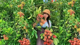 Enjoy beautiful nature with rural life 411# MP Fresh #fruit #countrylife #farming #freshvegetables