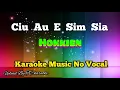 Download Lagu Ciu Au E Sim Sia ~ Hokkien karaoke mandarin no vocal