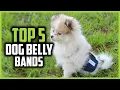 Top 5 Best Belly Bands for Dogs 2024 With Peeing Problems