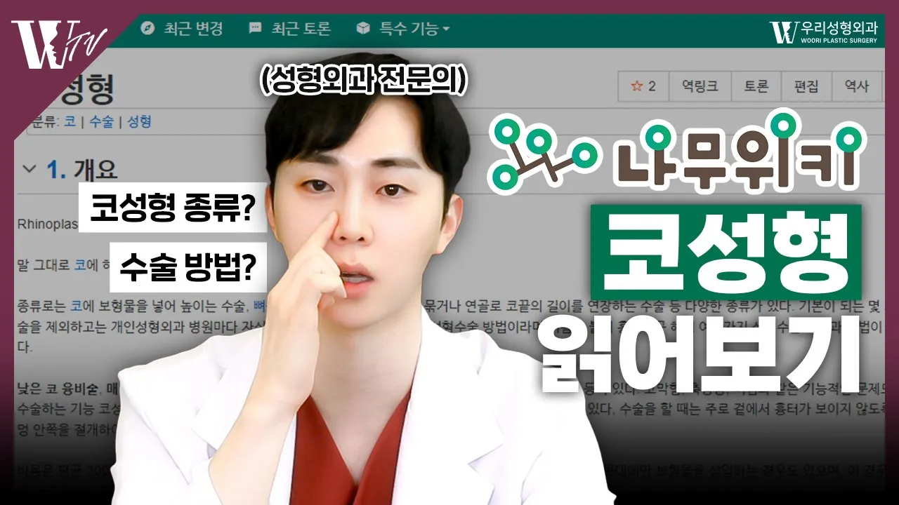 코성형을 나무위키에 검색해서 읽어보자! #코수술종류 #코수술방법