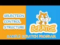 Selection Scratch