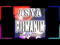 Lagu asya - pismanim [ersn remix]