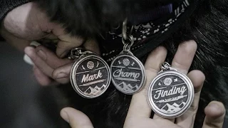 A Lazy Day – Pushing North 11