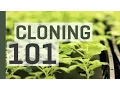 Cloning 101