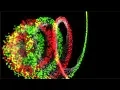 AFTER EFFECTS - basic red giant trapcode particular setup with light emitter example tutorial