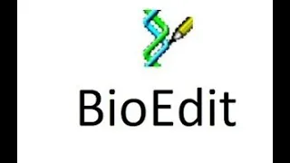 Reverse complementing using BioEdit