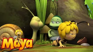 Download The big eat - Maya the Bee - Episode 70 MP3