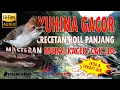 Download Lagu Masteran Crecetan Yuhina Gacor Ngerol Panjang Speed Rapat