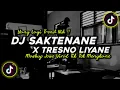 Download Lagu DJ Saktenane X Tresno Liyane Slow Beat Mengkane Viral Tik Tok Terbaru 2023!!🎵