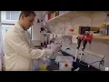Lab Technician What I do how much I make Part 1 Khan Academy